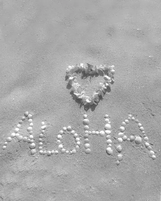 Aloha mit Muscheln in Sand geschrieben